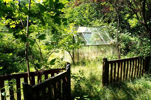 Gartenansicht 1
