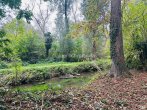 Gartenansicht 3 - VIEL RAUM FÜR INDIVIDUALISTEN MIT SEPARATEM GARTENGRUNDSTÜCK!